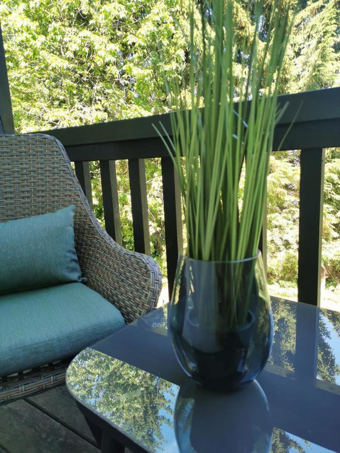 Country-Suites By Verdino Living - Apartments & Suites (Adults Only) Braunlage Exterior photo
